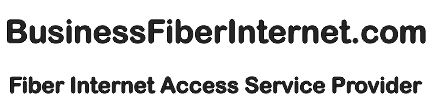 Business Fiber Internet Access Service Provider